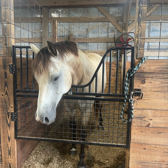 Meet your Posher, Donna - Picture 15 of 16